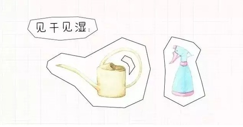 image.phpurl=0M2HWmao8K.jpg