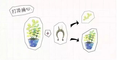 image.phpurl=0M2HWmMzh9.jpg