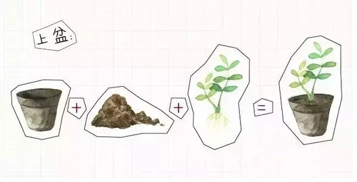 image.phpurl=0M2HWmIiKS.jpg