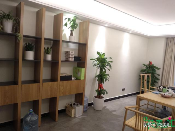 花美汇绿植租赁 花美汇绿植租赁
